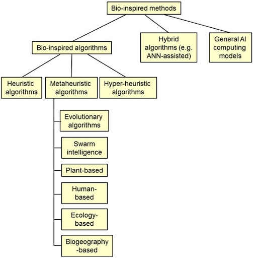 taxonomy